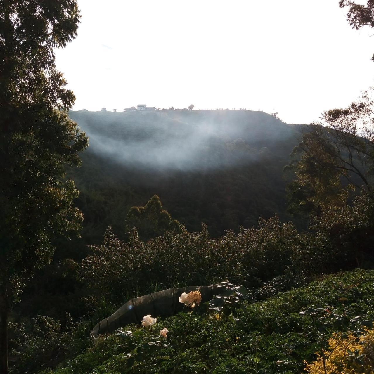 Green Gregory Villa Nuwara Eliya Dış mekan fotoğraf